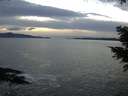 ./images/koeye/fitz-hugh/20201222/fitz-hugh20201222_165002.jpg