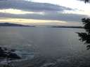 ./images/koeye/fitz-hugh/20201222/fitz-hugh20201222_165502.jpg