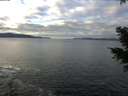 ./images/koeye/fitz-hugh/20201227/fitz-hugh20201227_114021.jpg