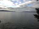 ./images/koeye/fitz-hugh/20201227/fitz-hugh20201227_114502.jpg