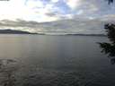./images/koeye/fitz-hugh/20201227/fitz-hugh20201227_115002.jpg