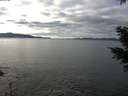 ./images/koeye/fitz-hugh/20201227/fitz-hugh20201227_121002.jpg