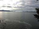 ./images/koeye/fitz-hugh/20201227/fitz-hugh20201227_122002.jpg