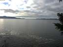 ./images/koeye/fitz-hugh/20201227/fitz-hugh20201227_122502.jpg