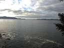 ./images/koeye/fitz-hugh/20201227/fitz-hugh20201227_123001.jpg