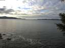 ./images/koeye/fitz-hugh/20201227/fitz-hugh20201227_124501.jpg
