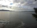 ./images/koeye/fitz-hugh/20201227/fitz-hugh20201227_125501.jpg