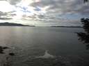 ./images/koeye/fitz-hugh/20201227/fitz-hugh20201227_130001.jpg