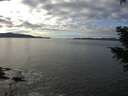 ./images/koeye/fitz-hugh/20201227/fitz-hugh20201227_131001.jpg