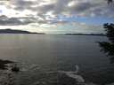 ./images/koeye/fitz-hugh/20201227/fitz-hugh20201227_132001.jpg