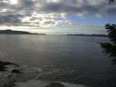 ./images/koeye/fitz-hugh/20201227/fitz-hugh20201227_132501.jpg