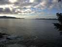 ./images/koeye/fitz-hugh/20201227/fitz-hugh20201227_133001.jpg