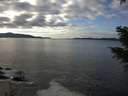 ./images/koeye/fitz-hugh/20201227/fitz-hugh20201227_133501.jpg