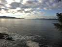 ./images/koeye/fitz-hugh/20201227/fitz-hugh20201227_134001.jpg