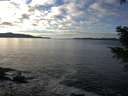 ./images/koeye/fitz-hugh/20201227/fitz-hugh20201227_134501.jpg