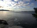 ./images/koeye/fitz-hugh/20201227/fitz-hugh20201227_135001.jpg