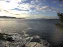 ./images/koeye/fitz-hugh/20201227/fitz-hugh20201227_135501.jpg