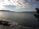 ./images/koeye/fitz-hugh/20201227/fitz-hugh20201227_141001.jpg