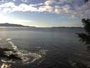 ./images/koeye/fitz-hugh/20201227/fitz-hugh20201227_141501.jpg