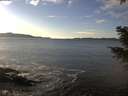 ./images/koeye/fitz-hugh/20201227/fitz-hugh20201227_143502.jpg