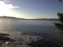 ./images/koeye/fitz-hugh/20201227/fitz-hugh20201227_144002.jpg