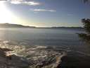 ./images/koeye/fitz-hugh/20201227/fitz-hugh20201227_144502.jpg