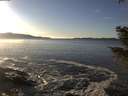 ./images/koeye/fitz-hugh/20201227/fitz-hugh20201227_145002.jpg