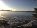 ./images/koeye/fitz-hugh/20201227/fitz-hugh20201227_145502.jpg