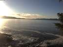 ./images/koeye/fitz-hugh/20201227/fitz-hugh20201227_150502.jpg