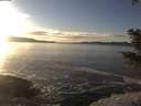 ./images/koeye/fitz-hugh/20201227/fitz-hugh20201227_151002.jpg