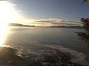./images/koeye/fitz-hugh/20201227/fitz-hugh20201227_152002.jpg