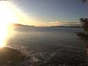 ./images/koeye/fitz-hugh/20201227/fitz-hugh20201227_153501.jpg