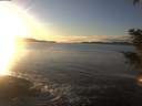 ./images/koeye/fitz-hugh/20201227/fitz-hugh20201227_154001.jpg