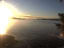 ./images/koeye/fitz-hugh/20201227/fitz-hugh20201227_155001.jpg
