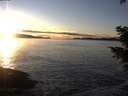 ./images/koeye/fitz-hugh/20201227/fitz-hugh20201227_155501.jpg