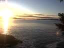 ./images/koeye/fitz-hugh/20201227/fitz-hugh20201227_160501.jpg