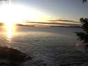 ./images/koeye/fitz-hugh/20201227/fitz-hugh20201227_161001.jpg