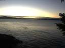 ./images/koeye/fitz-hugh/20201227/fitz-hugh20201227_164501.jpg