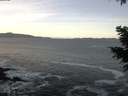 ./images/koeye/fitz-hugh/20201228/fitz-hugh20201228_080002.jpg