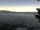 ./images/koeye/fitz-hugh/20201228/fitz-hugh20201228_100001.jpg