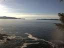 ./images/koeye/fitz-hugh/20201228/fitz-hugh20201228_140002.jpg