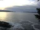 ./images/koeye/fitz-hugh/20201228/fitz-hugh20201228_160002.jpg