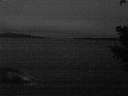 ./images/koeye/fitz-hugh/20201229/fitz-hugh20201229_075002.jpg