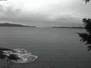 ./images/koeye/fitz-hugh/20201229/fitz-hugh20201229_080002.jpg
