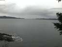 ./images/koeye/fitz-hugh/20201229/fitz-hugh20201229_080502.jpg