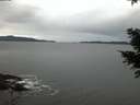 ./images/koeye/fitz-hugh/20201229/fitz-hugh20201229_081002.jpg