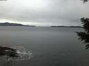 ./images/koeye/fitz-hugh/20201229/fitz-hugh20201229_081501.jpg