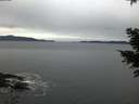 ./images/koeye/fitz-hugh/20201229/fitz-hugh20201229_082001.jpg