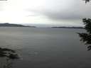 ./images/koeye/fitz-hugh/20201229/fitz-hugh20201229_083001.jpg