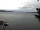 ./images/koeye/fitz-hugh/20201229/fitz-hugh20201229_083501.jpg